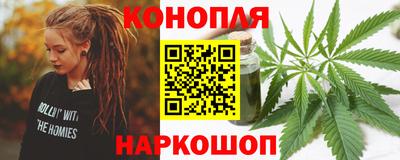 стафф Моздок