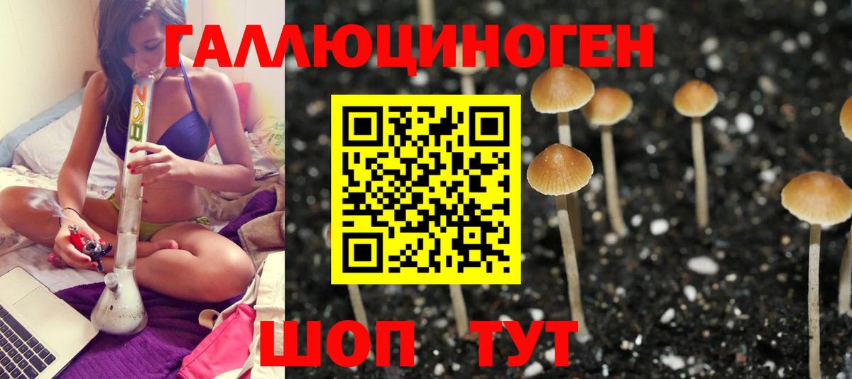 Галлюциногенные грибы Cubensis Соликамск
